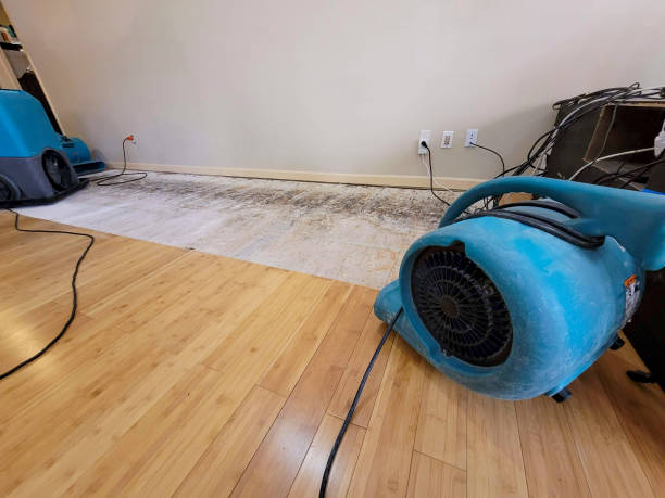 Professional Structural Drying technician working in Harmony, MN